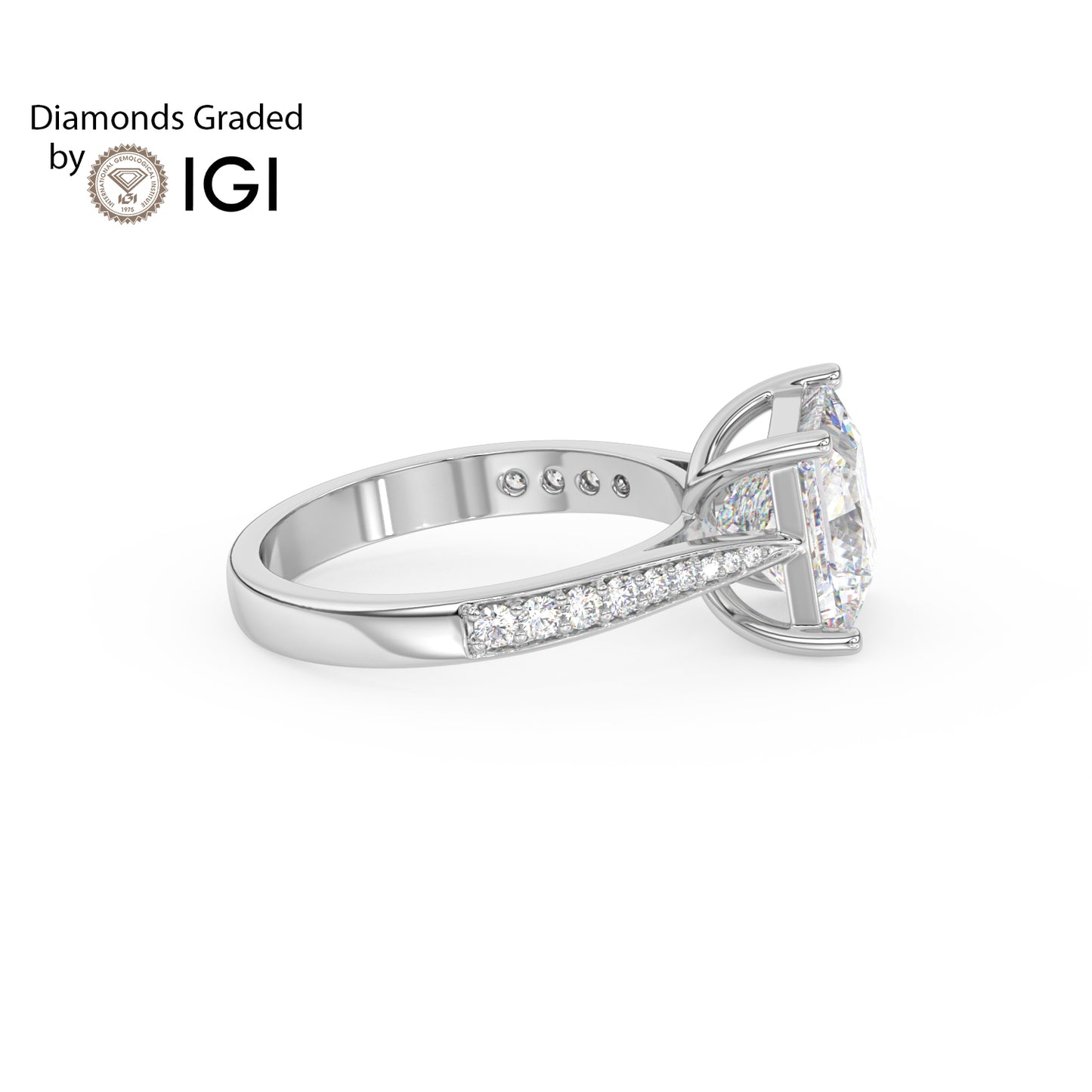 3ct Princess Lab Diamond Engagement Ring with Diamond Band - E/VVS Platinum